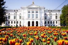 Первокурсникам